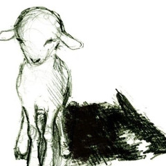 Beeto- see me down 🐐