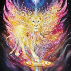 DJ Shawn live at Coalessence Ecstatic Dance 8/20/24