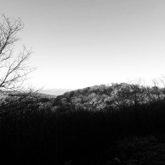 summit (it gets harder)