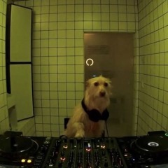 epickitchen/bathroomcleaningplaylist