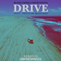 Black Coffee - Drive(feat. David Guetta & Delilah Montagu)(UnknownSol remix).mp3