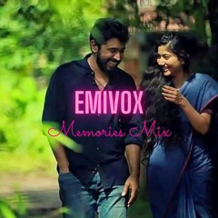 Malare(EMIVOX Remix).mp3