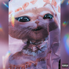 PUSSY ASS NIGGA ***a cover**