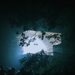 Loco Dice b2b Vladimir Ivkovic at Draaimolen Festival 2025