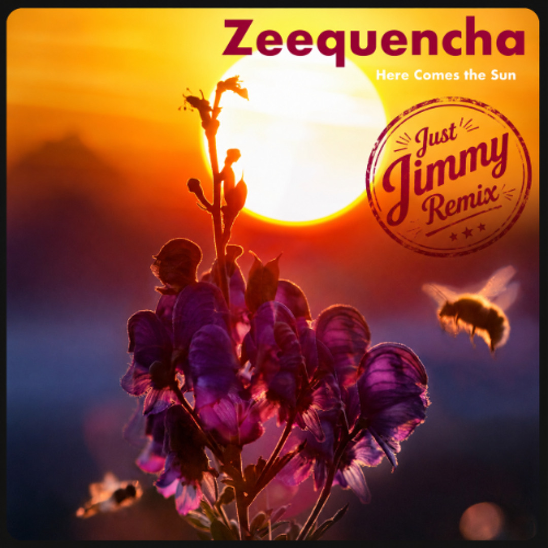 Stream Here Comes the Sun (Just Jimmy Remix) by Zeequencha
