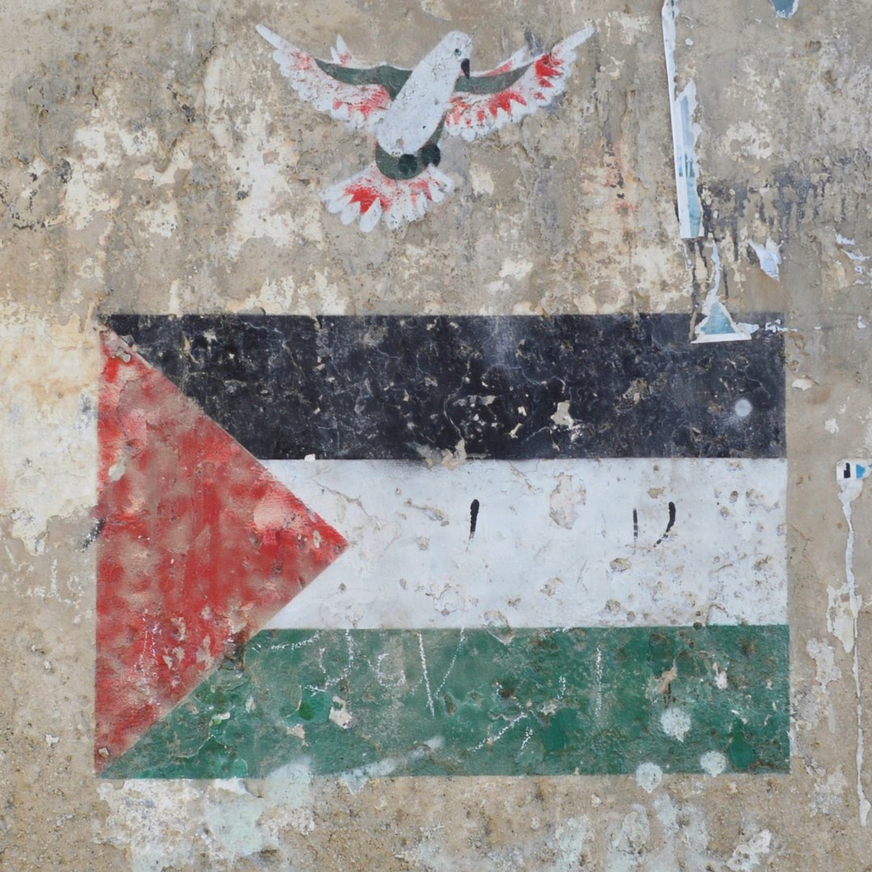 Madison's Annual Big Ride to Raise Funds for Palestinian Children
