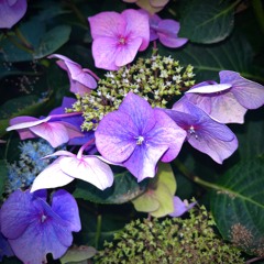 Hessle Audio feat. Pearson Sound - 21 October 2024