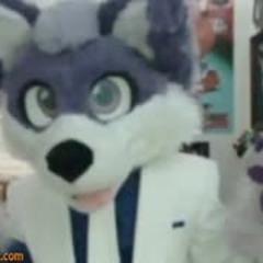 Packgod vs Omegle Furry