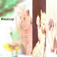 anolja - #wasup (p&m anolja) 🧟‍♀️
