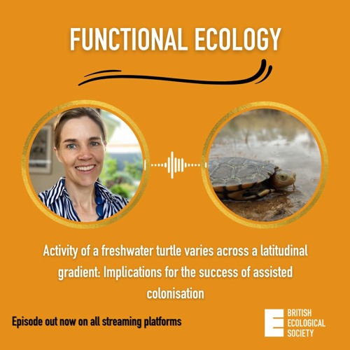 Seeking a ‘just right’ site for the Western Swamp Turtle