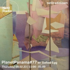 Planet Panama #78 w/ Sallad Egg - Netil Radio - 09/02/23