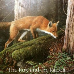The Fox And The Rabbit ( A chase through the forest)