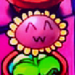 sunflwoer