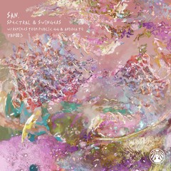 PREMIERE: SAN. - Swingers (Public 66 Remix) (TBP003)