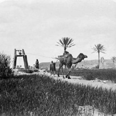 يوسف الصديق
