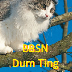 Dum Ting