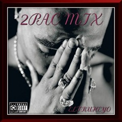 2PAC MINIMIX