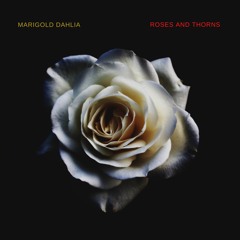 Roses And Thorns