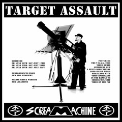 Target Assault 2010 DUMBO
