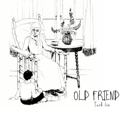 Echoes of Friendship