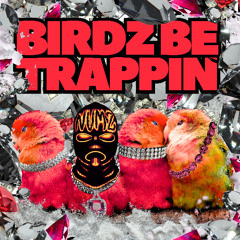 BIRDZ BE TRAPPIN