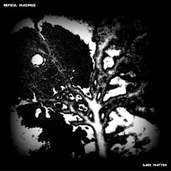 Dark Matter