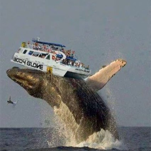 redlinrx - crushed p. Kayzo + Varu [Hosted by @1glost4rr]