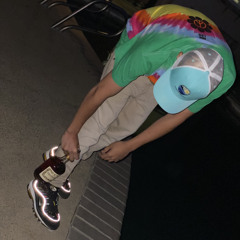 Hiding from the Lightning - Pinto the Bean