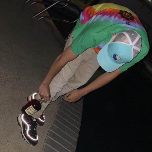 Hiding from the Lightning - Pinto the Bean