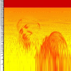 The Recording Angel: The Avalanches B2B w/ Haai 070824