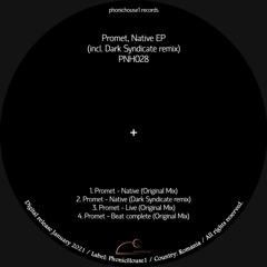 Promet - Native (Dark Syndicate Remix) [PNH028] (128kbps)