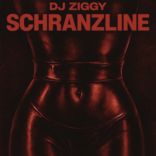 Dj Ziggy - Schranzline