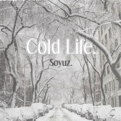 Cold Life. [prod. fskape]