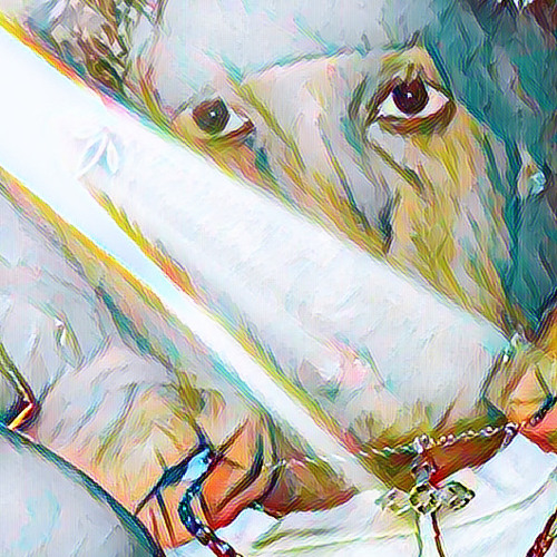 Save Her (Prod.Fxnshawtyy)