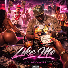 LIKE ME FAST - DON-P X RICO DREAMS
