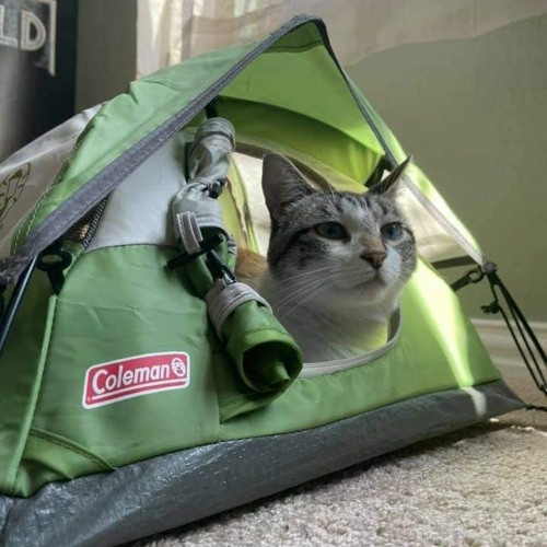 Moneybagg Yo "Time Today" remix.