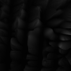 SKYKYS live at BLAQLYTE Rover 190725