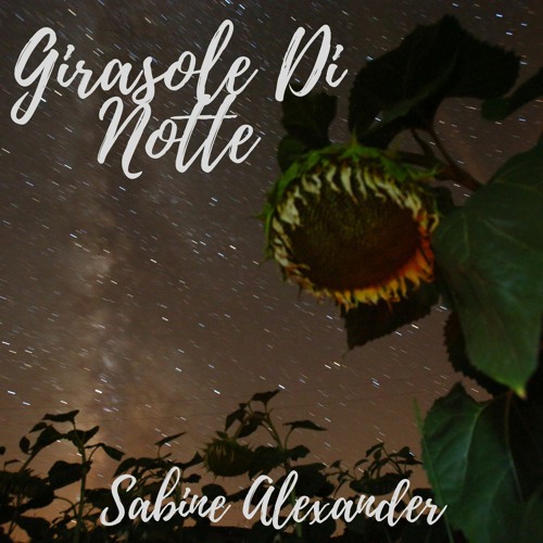 Girasole Di Notte