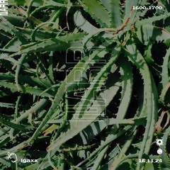Igaxx 16/11/24