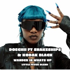 DOECHII FT SNAKESHIPS & KODAK BLACK - WANDER IS WHATS UP (LITTLE FEVER BLEND)