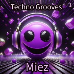 Techno Grooves 1