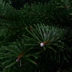 pathaways (too lazy to work on the rest of this)