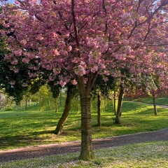 April (experiments). Rising