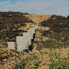 deserted in the land of peace