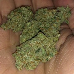 Ohio "Eighths" Suck