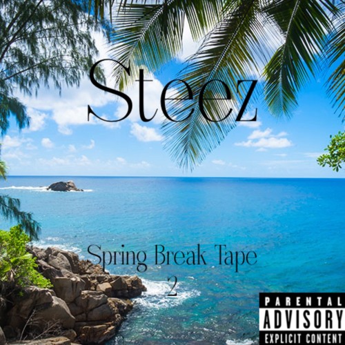 Spring Break Tape 2 - Steez