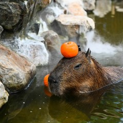 Da Bilbox (Resubido)