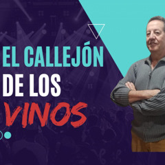 El Callejon del Vino Programa 18 Bodegas Alejandro