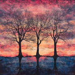La Lueur Entre Les Arbres