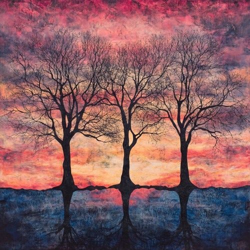 La Lueur Entre Les Arbres